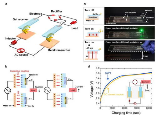 腦科學(xué)日報 超加工食品加速衰老，全球最大神經(jīng)元類腦計算機(jī)問世，通訊設(shè)備設(shè)計革新